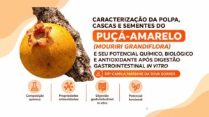 Puca Amarelo foto 2